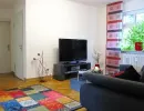 wohndiele mit cbequemer couch einem teppich und tv flachbildschirm sowie einer grossen zimmerpflanze